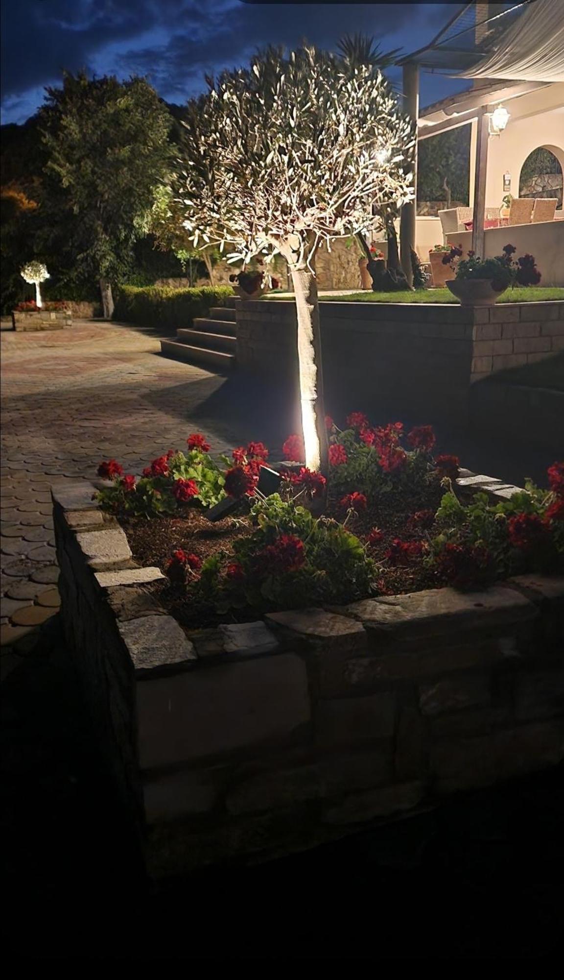 Palio Suites PalaiónTsiflíkion Dış mekan fotoğraf